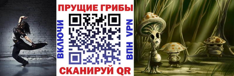 Галлюциногенные грибы Psilocybe наркошоп Кулебаки